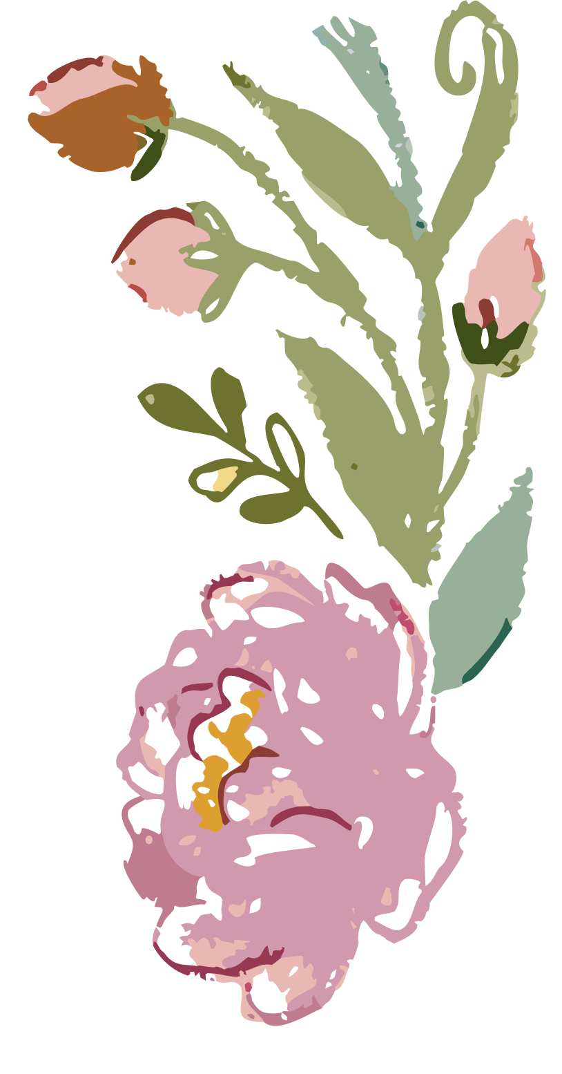 Flowers illustrations