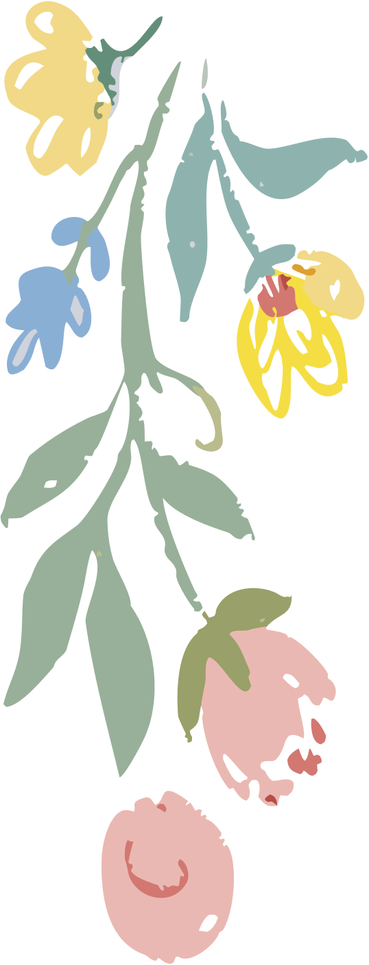 Flowers illustrations