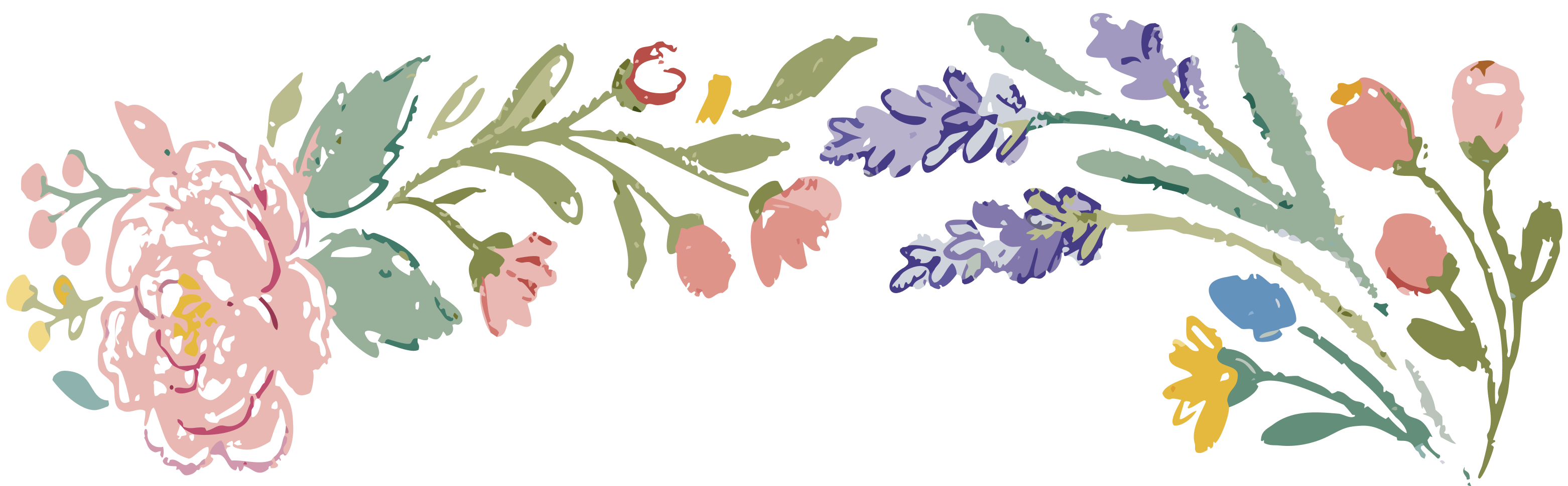 Flowers illustrations